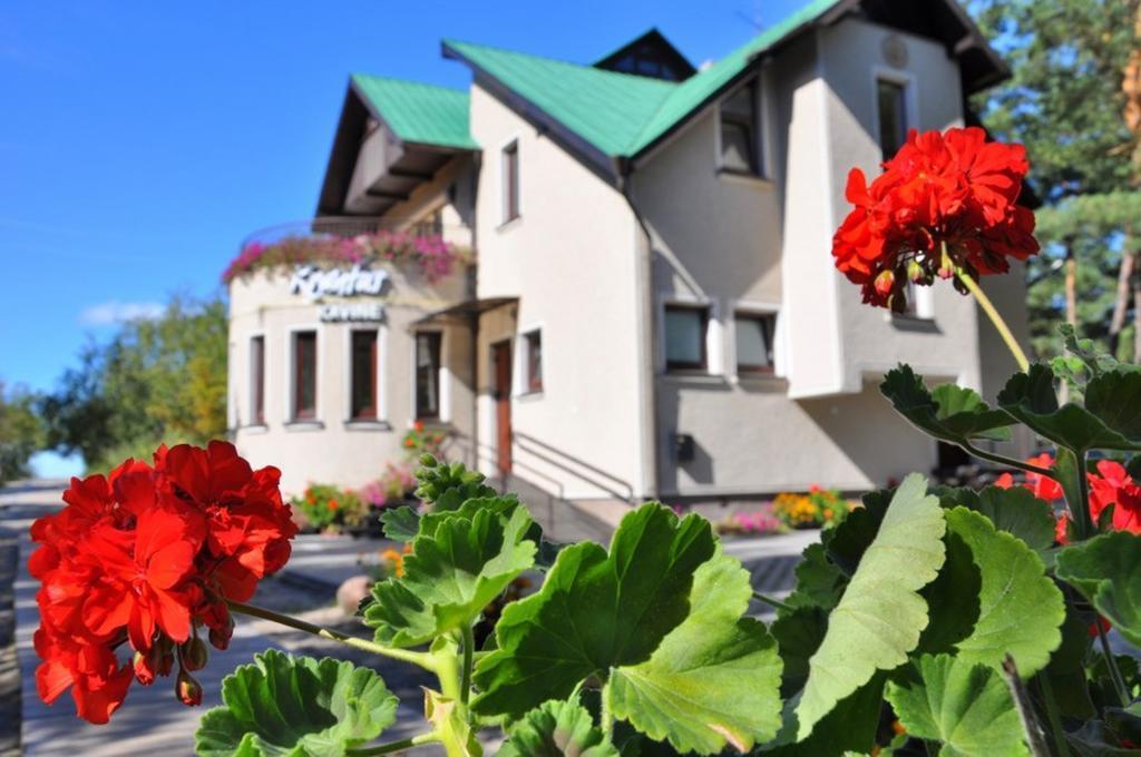 Vila Krantas Palanga Exterior photo